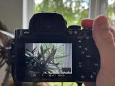 Sony a7 + 2 objektyvai - nuotraukos Nr. 4