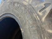 600/60r28 Michelin Xeobib padangos - nuotraukos Nr. 9