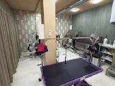 Ieškome šunų kirpėjos prisijungti prie Groomy Spa - nuotraukos Nr. 2
