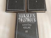 Kančių keliai