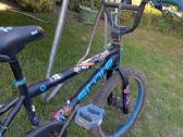 BMX score - nuotraukos Nr. 4