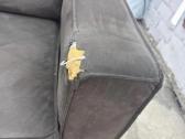 Kampine sofa - nuotraukos Nr. 5