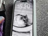 iPhone 15 Pro Max - nuotraukos Nr. 6