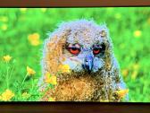 LG Oled55c12 4k 120hz Gaming TV Hdr Youtube Go3 - nuotraukos Nr. 2