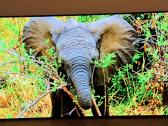 LG Oled55c12 4k 120hz Gaming TV Hdr Youtube Go3 - nuotraukos Nr. 4