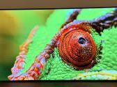 LG Oled55c12 4k 120hz Gaming TV Hdr Youtube Go3 - nuotraukos Nr. 8