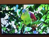 LG 49nano803 Nanocell Hdr Smart TV Youtube Netflix - nuotraukos Nr. 4