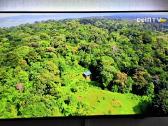 43 Philips su ambilight 3, naujas