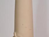 Dekoratyvinis ragas.