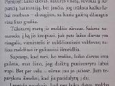 Demonas ir panelė Prym - nuotraukos Nr. 4