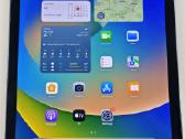 iPad Pro 9.7" 256gb Wi-fi Space Gray A1673