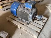 El. variklis 75 kw