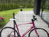 Plentinis Orbea Avant Shimano Sora mot dviratis