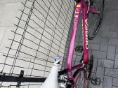 Plentinis Orbea Avant Shimano Sora mot dviratis - nuotraukos Nr. 5