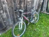 Dviratis Greenfield shimano 2600, 26