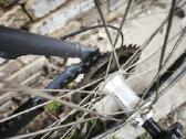 Trek Dviratis 26er - nuotraukos Nr. 6