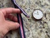 Daniel Wellington laikrodis - nuotraukos Nr. 14