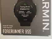 Garmin Forerunner 995 - nuotraukos Nr. 2