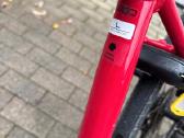 Trek fx 3 plentinis dviratis L dydis - nuotraukos Nr. 5