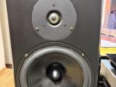 Moen Audio Lyric 401 Mk2 (Made in Norway) - nuotraukos Nr. 5