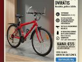 Dviratis Ragazzi (24")