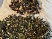 Novritsch ghillie
