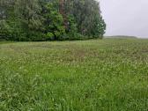 1 ha žemės ūkio paskirties sklypas - nuotraukos Nr. 4
