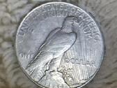 Sidabrinis doleris 1935 m. "Peace Dollar"