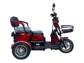 Elektriniai triračiais Ekomoto mobilumui - nuotraukos Nr. 30