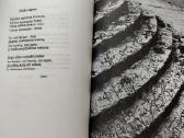 Poezijos knygos. 4 knygos. - nuotraukos Nr. 5