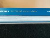 Fotoalbumas Neringa – Gintarinė Dievo ašara. Nida. - nuotraukos Nr. 4
