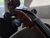 Parduodama violoncelė - nuotraukos Nr. 4