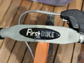 Balansinis dviratukas First bike - nuotraukos Nr. 5