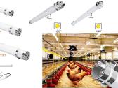 Pramoniniai šviestuvai ūkis sandėlis logistika LED - nuotraukos Nr. 6