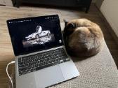 MacBook Pro M1 8gb 256gb