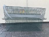 Putpelių narvas