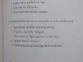 Su blogiausiais ketinimais - nuotraukos Nr. 3
