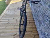 MTB dviratis "carrera" - nuotraukos Nr. 3