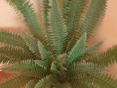 Dirbtinis papartis su vazonu - nuotraukos Nr. 3