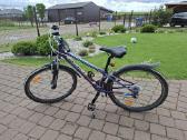 Cross Speedster 26" - nuotraukos Nr. 2
