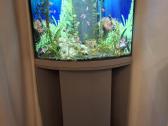 Parduodu akvariumą su spintele! 180l
