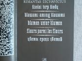 R.dichavičius Žiedai tarp žiedų - nuotraukos Nr. 5