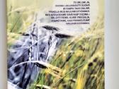 Laužomas kaip duona, Žmogus nėra sala, Išpažintis - nuotraukos Nr. 2