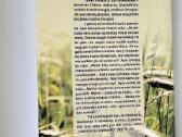 Laužomas kaip duona, Žmogus nėra sala, Atleidimas - nuotraukos Nr. 8