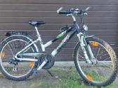 Dviratis Pegasus Avanti GT