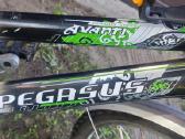 Dviratis Pegasus Avanti GT - nuotraukos Nr. 5