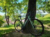 Cube Axial Pro Gravel 2026m. - nuotraukos Nr. 3
