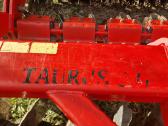 Lekstes Taurus