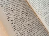 Knyga Salman Rushdie "Gėda" - nuotraukos Nr. 3