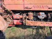Traktorius Volvo T24 - nuotraukos Nr. 6